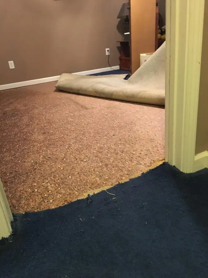 Carpet pad removal revealing water damage during Drying & Dehumidification in Murrells Inlet