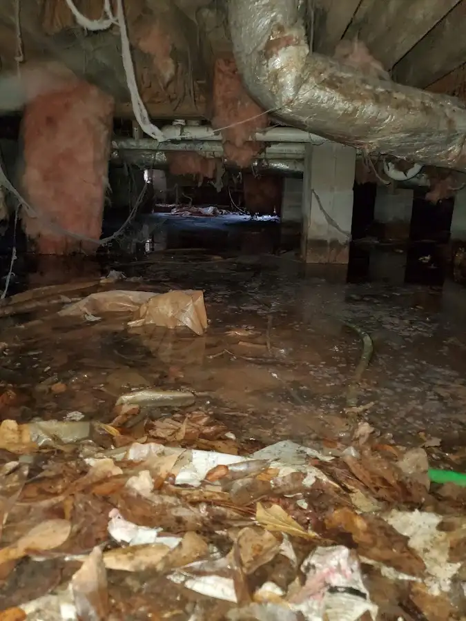 Crawl space flood assessment for Commercial Water Damage Restoration in Murrells Inlet