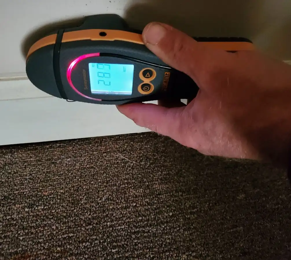 Moisture detection at baseboard during Mold Inspection & Testing in Murrells Inlet
